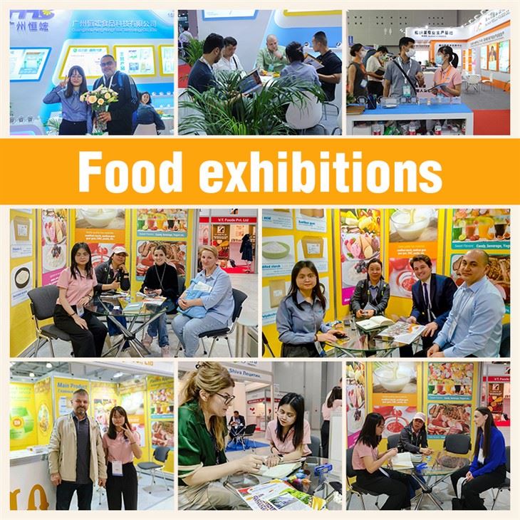 Food Preservatives Sodium Benzoate